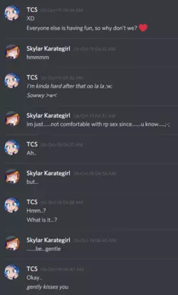 TCS-Skylar erp (3).png