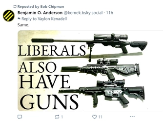 guns.jpg