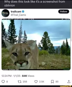 1743947937537.png