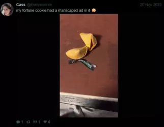 1743957508979.png