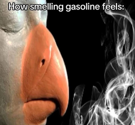 IMG_8020.jpeg