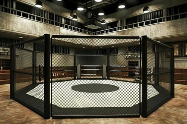 cage-arena-boxing-octagon-fights-fights-without-rules-mixed-martial-arts-mma_974629-25573.jpg