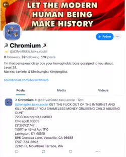 Chromium1.PNG