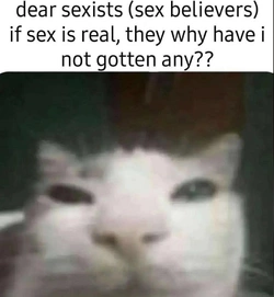 1744091891430.jpeg