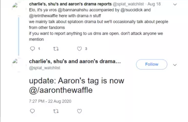 (erinthewaffle becomes aaronthewaffle)
