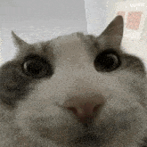 1000001791.gif