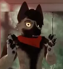 pfp.png