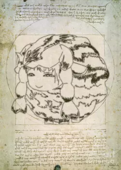 vinci wata 2.png