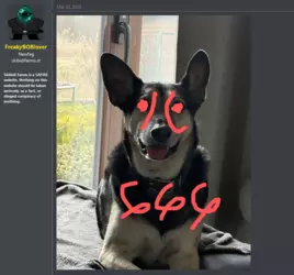1744252301259.png