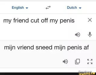 dutch.jpg