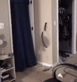 bossmanjack-door-curtain-1.gif