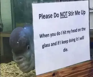 retard fish.png