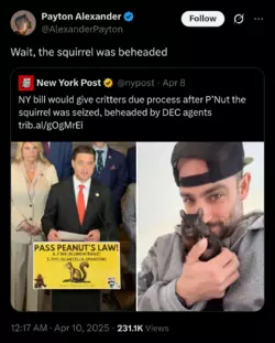 Screenshot_20250410-143205.png