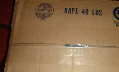 1000001310.jpg