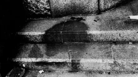 indian shit atomic shadow.webp