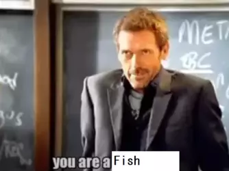 wdwa.png