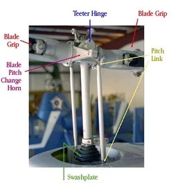 B206_head.jpg