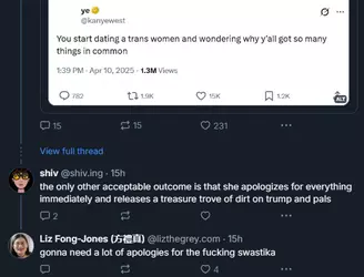 ApologizeToLizFongJonesForTheSwastika.png