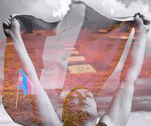 Image19.png