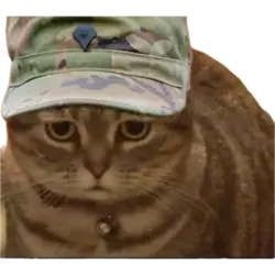 1744396238079.png