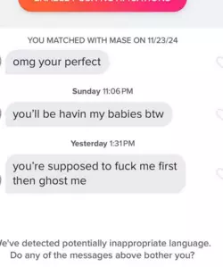 1744409703507.png