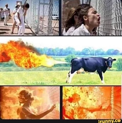 fert.jpg