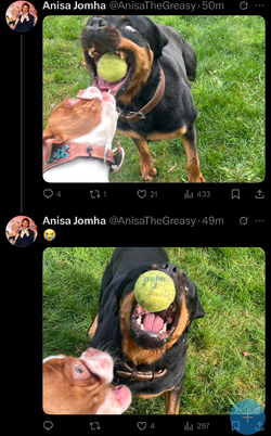 IMG_5755.jpeg