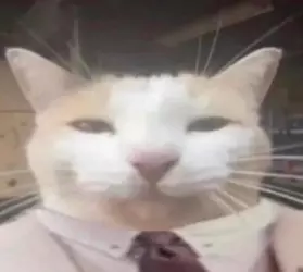 dvh0hhndurkb1.png
