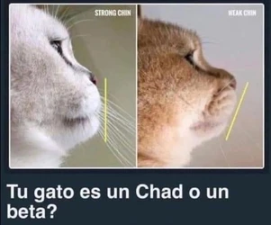 1744487110899.jpeg