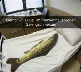 1744490300065.png