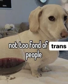 1649199924393.jpeg