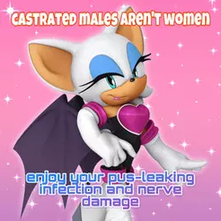 1736163071255.png