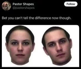1743913228362.jpeg