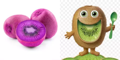 kiwi purple green.webp