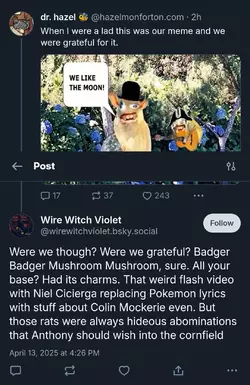 c (1).webp
