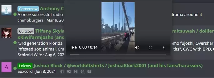 1744580044669.webp