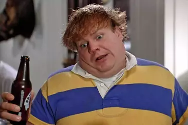TommyBoy.webp