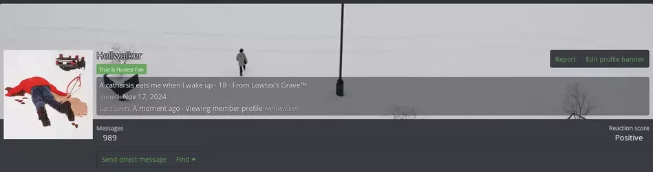 Screenshot 2025-04-14 at 00-45-13 Hellwalker Kiwi Farms.webp
