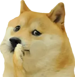 doge-nauseous.webp