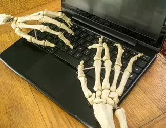 hands.webp