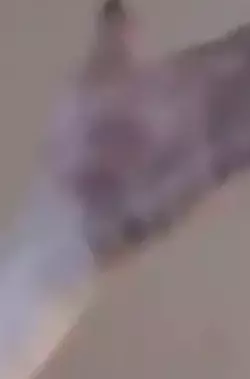 1744649687763.webp