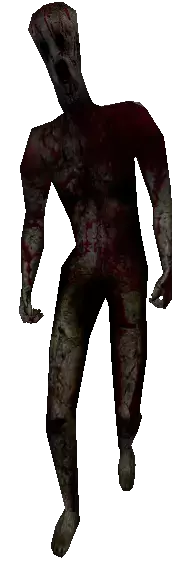 1632437566084.webp