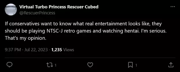 Screenshot 2025-04-15 at 00-45-56 Virtual Turbo Princess Rescuer Cubed on X If conservatives ...webp