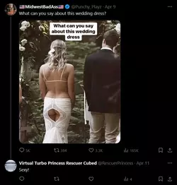 Screenshot 2025-04-15 at 00-31-41 Posts with replies by Virtual Turbo Princess Rescuer Cubed ...webp