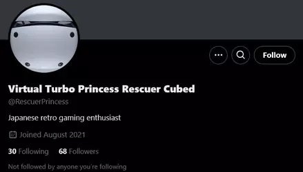 Screenshot 2025-04-15 at 00-53-31 Virtual Turbo Princess Rescuer Cubed (@RescuerPrincess) _ X.webp