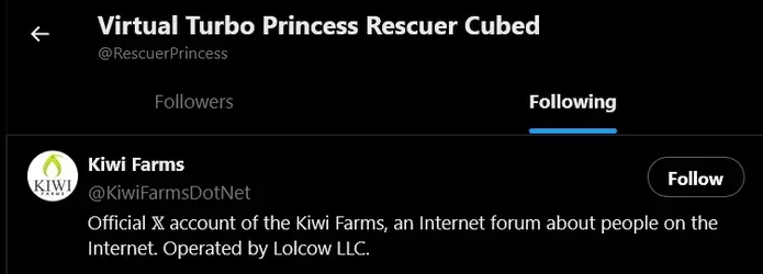 Screenshot 2025-04-15 at 01-52-46 People followed by Virtual Turbo Princess Rescuer Cubed (@R...webp