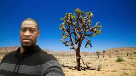 1671736447665870.webp