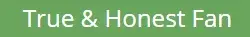 3123.webp