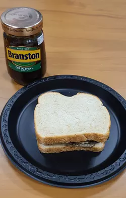 Pickle-fish.webp
