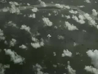 d4rq2rm-44954cee-0dff-4a23-bef8-358ca0cd81ea.gif